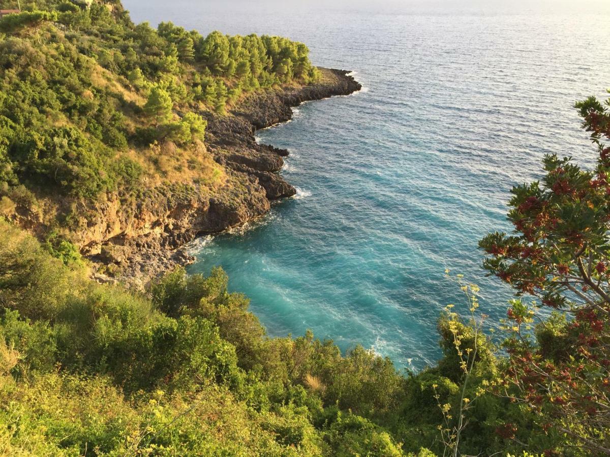 فيلا Fili D'Erba Cilento فيلاماري المظهر الخارجي الصورة